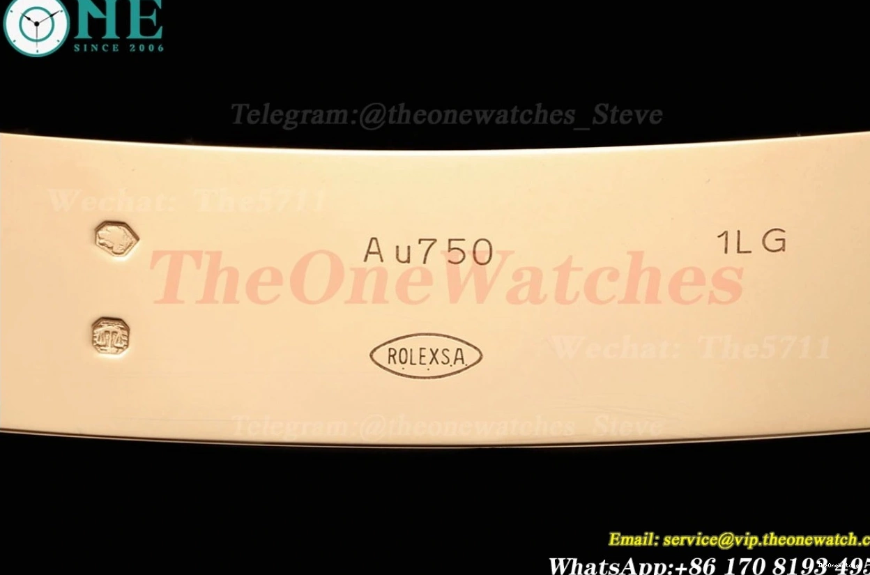 SH3255(Tungsten 40mm THBF Grey Dial Heavy RG RG Version) DayDate 228235 0420